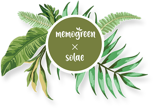 LOGO MEMOGREEN X SOLAE